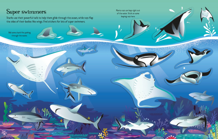 9781803709871 Usborne First Sticker Book Sharks and Rays [4]