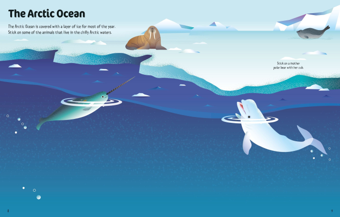 9781805077183 Usborne First Sticker Book Ocean Animals [3]
