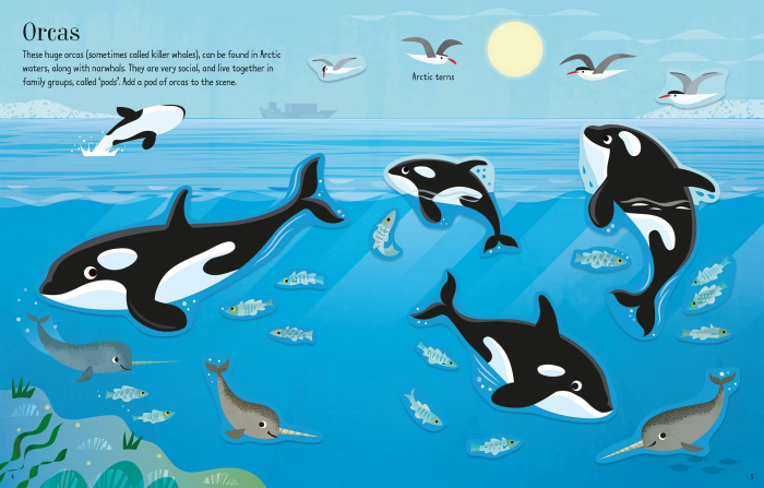 9781474968294 Usborne First Sticker Book Narwhals [3]