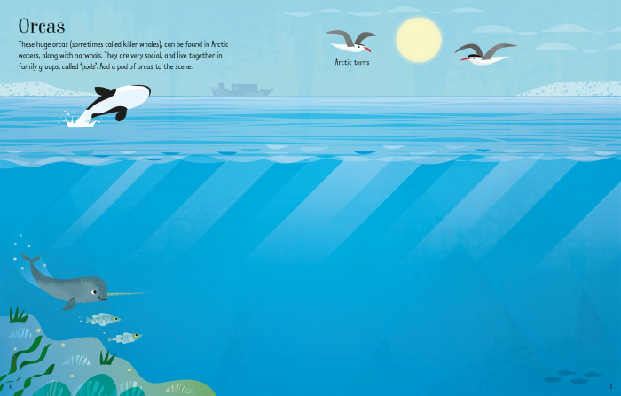 9781474968294 Usborne First Sticker Book Narwhals [2]