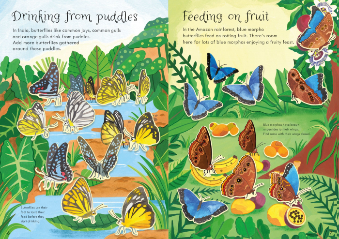 9781803704586 Usborne Little First Stickers Butterflies [4]