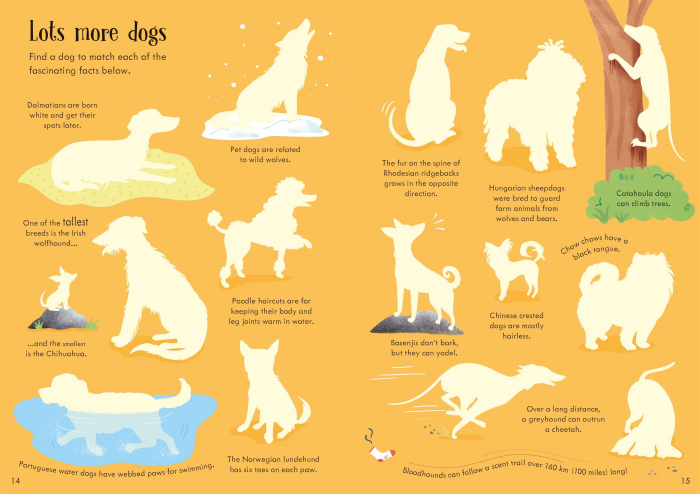 9781805314554 Usborne Little First Stickers Dogs and Puppies [6]