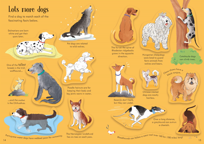 9781805314554 Usborne Little First Stickers Dogs and Puppies [7]