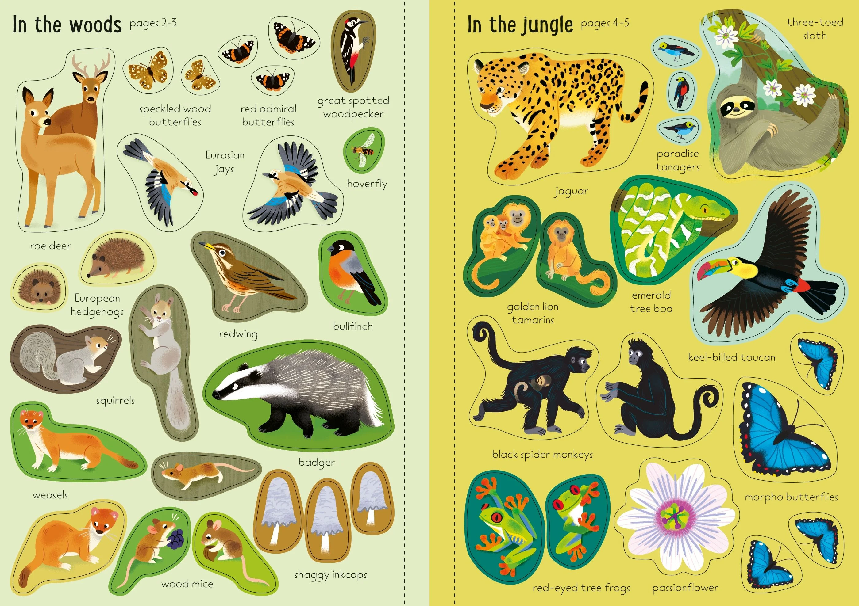9781805071143 Usborne Little First Stickers Nature [2]