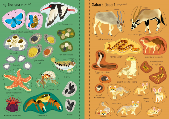 9781805071143 Usborne Little First Stickers Nature [4]