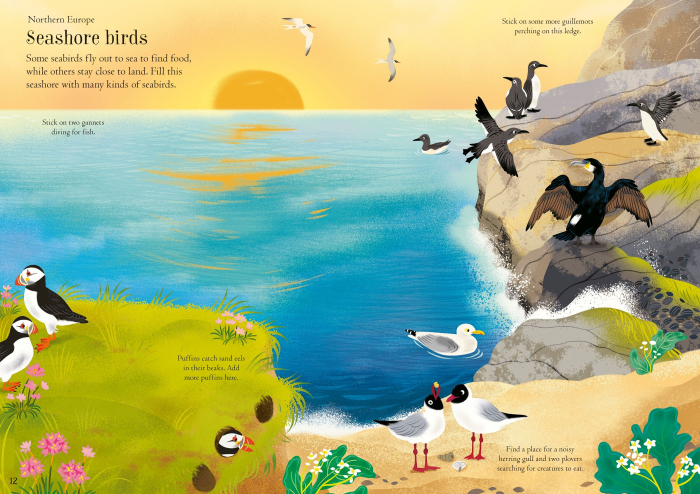 9781805312352 Usborne Little First Stickers Birds [2]