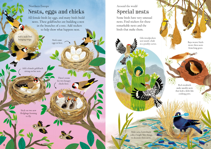 9781805312352 Usborne Little First Stickers Birds [7]