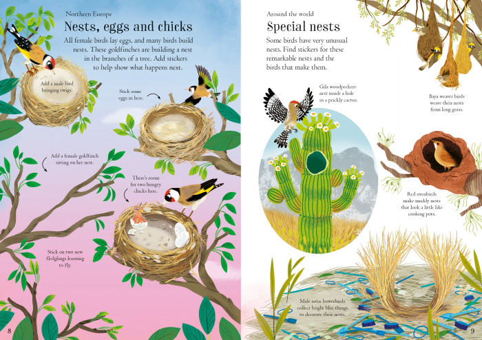 9781805312352 Usborne Little First Stickers Birds [5]