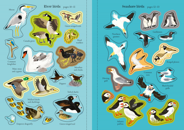 9781805312352 Usborne Little First Stickers Birds [3]