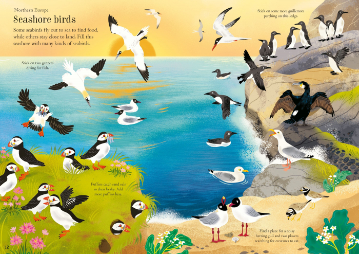 9781805312352 Usborne Little First Stickers Birds [4]