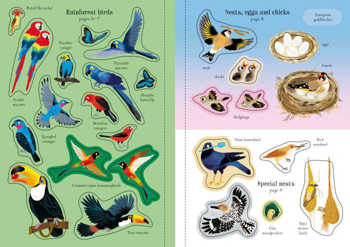 9781805312352 Usborne Little First Stickers Birds [6]