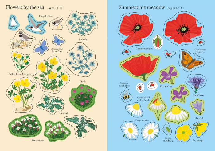 9781803704593 Usborne Little First Stickers Wildflowers [2]