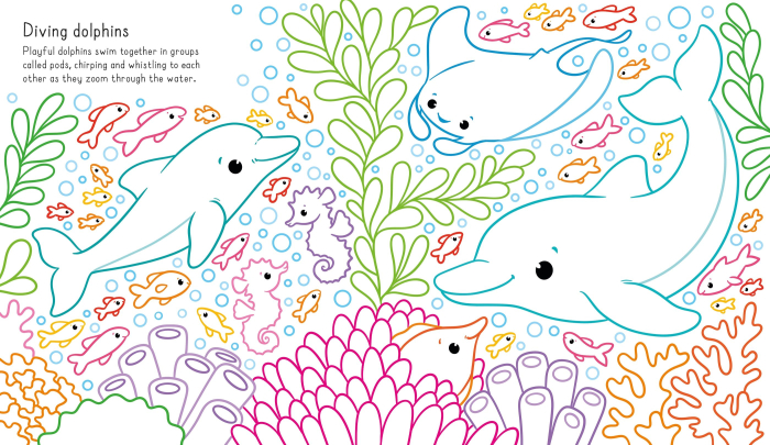 9781836045434 Usborne Magic Paper Under the Sea [2]