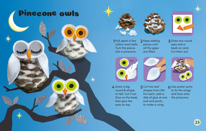 9781836043416 Usborne Nature Fun [2]