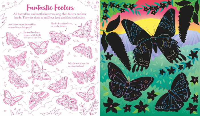 9781836043287 Usborne Scratch Activities Butterflies [3]