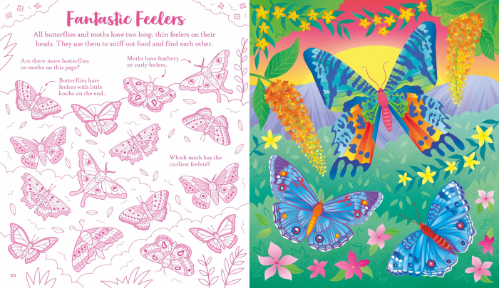 9781836043287 Usborne Scratch Activities Butterflies [2]