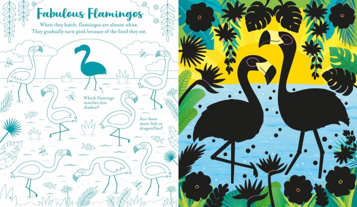 9781835408513 Usborne Scratch Activities Animals [5]