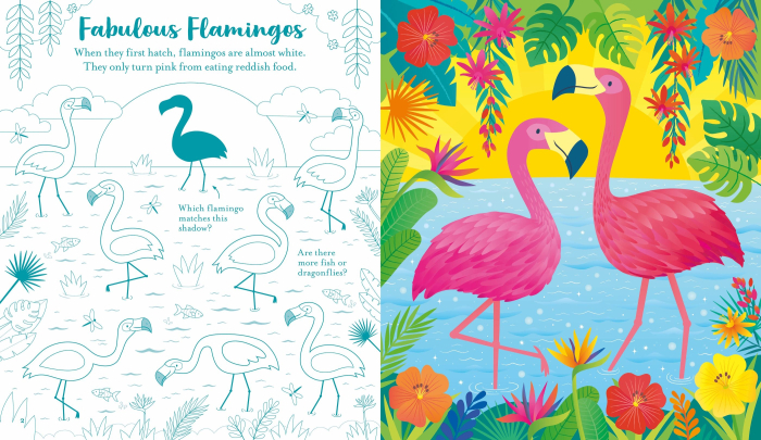 9781835408513 Usborne Scratch Activities Animals [4]