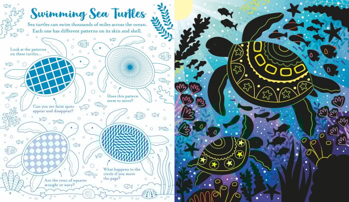 9781805076964 Usborne Scratch Activities Under the Sea [4]