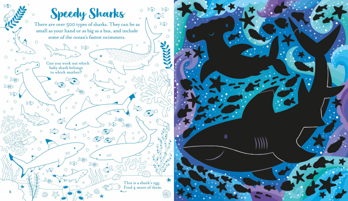 9781805076964 Usborne Scratch Activities Under the Sea [2]