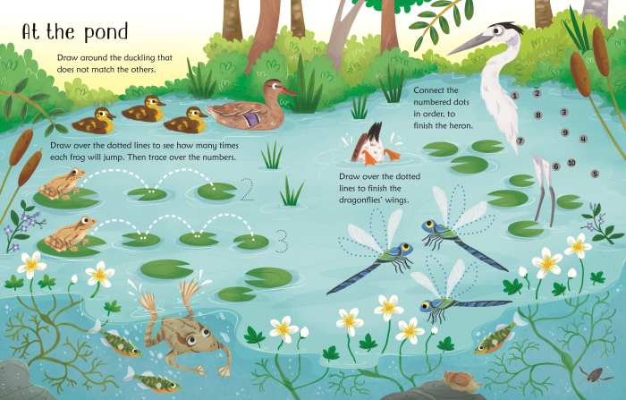 9781474968591 Usborne Wipe-Clean Woodland Activities [2]