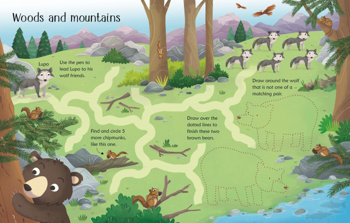 9781474968591 Usborne Wipe-Clean Woodland Activities [3]