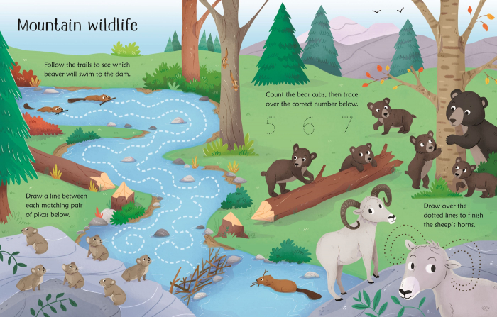 9781801319188 Usborne Wipe-Clean Nature Activities [3]
