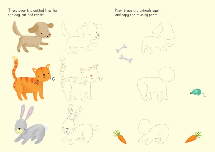 Carte de activitati Animale, reutilizabila, format mic, "Little Wipe-Clean Animals to Copy and Trace", Usborne [3]