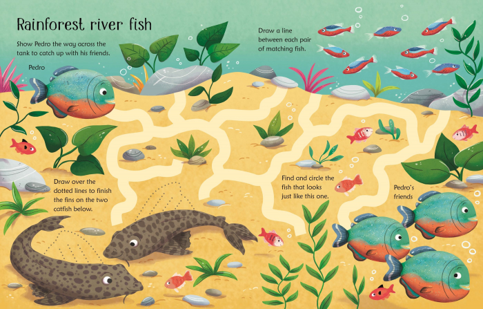 Carte de activitati scrie si sterge "Wipe-clean aquarium activities", reutilizabila, Usborne [2]