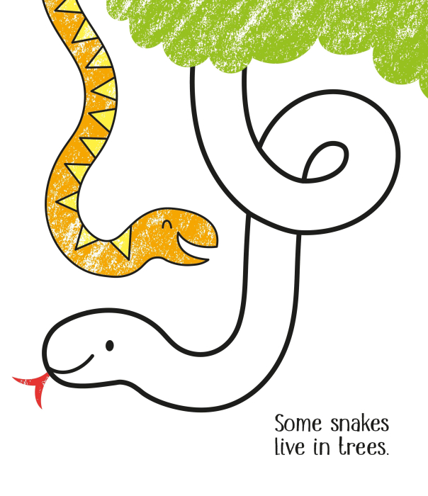 9781474985895 Usborne First Colouring Zoo Animals [4]