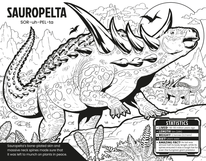 9781806460007  Usborne Ultimate Colouring Book [2]