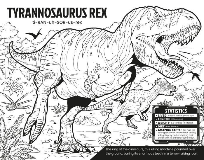 9781806460007  Usborne Ultimate Colouring Book [3]