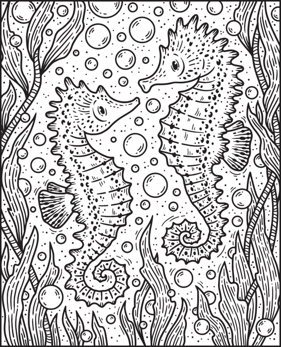 Carte de pictat cu apa "Magic painting book Narwhals", Usborne [2]