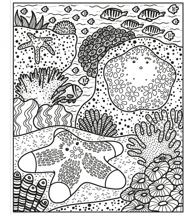 Carte de pictat cu apa Corali, "Magic painting book Coral Reef", Usborne [3]
