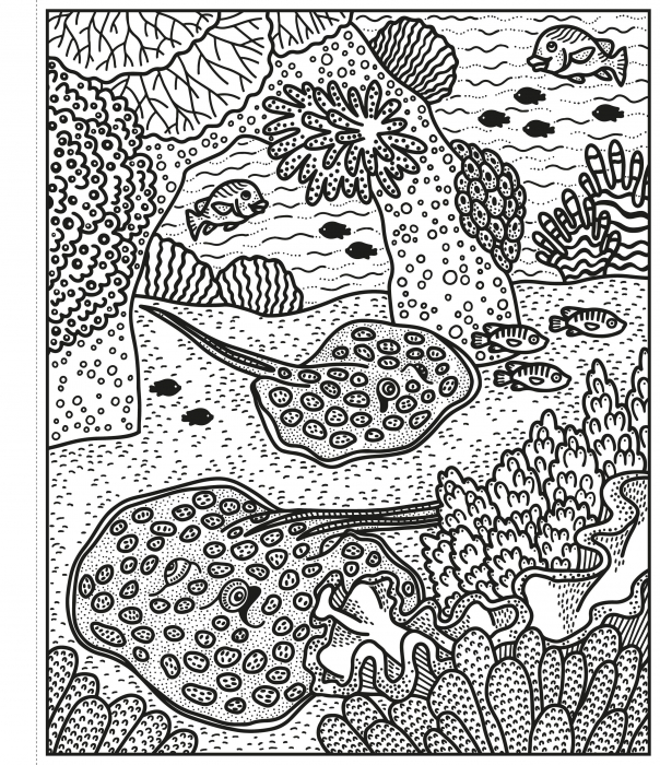 Carte de pictat cu apa "Magic painting book Coral Reef", Usborne [4]