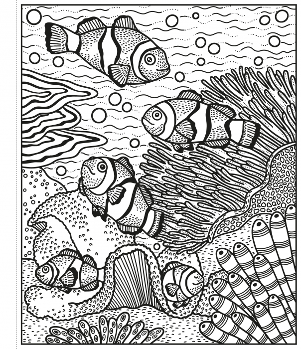 Carte de pictat cu apa "Magic painting book Coral Reef", Usborne [2]