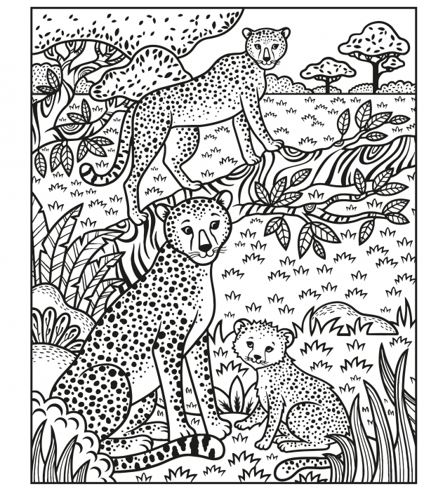 Carte de pictat cu apa animale, "Magic painting book Animals", Usborne [5]