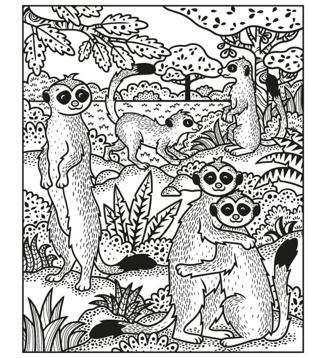 Carte de pictat cu apa animale, "Magic painting book Animals", Usborne [3]