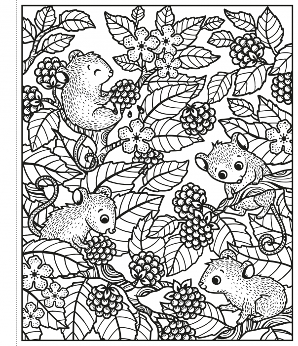 Carte de pictat cu apa "Magic painting book Woodland", Usborne [3]