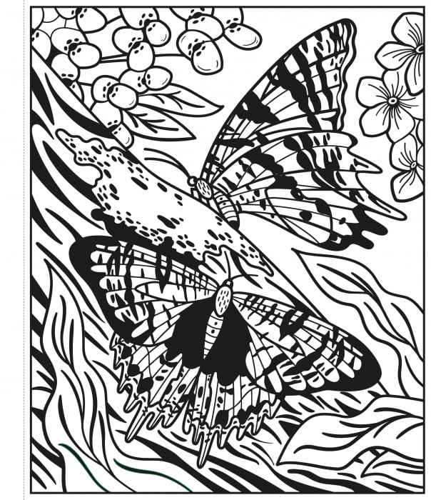 9781474986199 Usborne Butterflies Magic Painting Book [4]