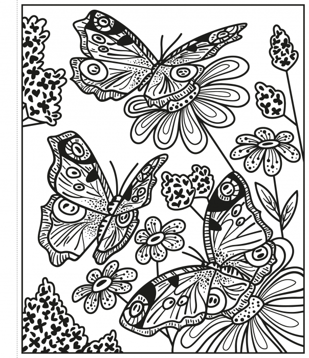 9781474986199 Usborne Butterflies Magic Painting Book [2]