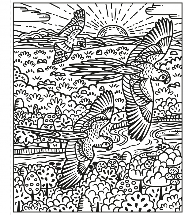 9781474960465 Usborne Birds Magic Painting Book [4]