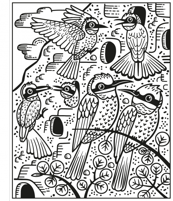 9781474960465 Usborne Birds Magic Painting Book [3]