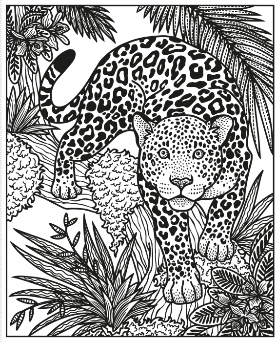 9781474998536 Usborne Wild Animals Magic Painting Book [6]