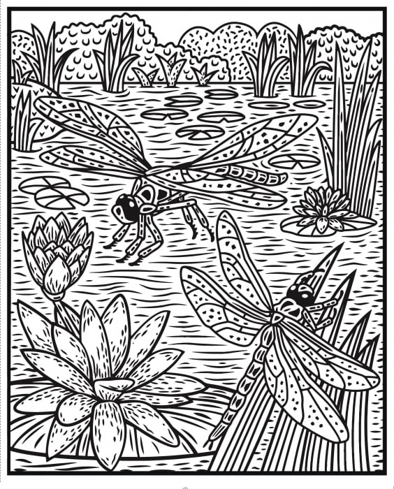 Carte de pictat cu apa insecte, "Magic painting book Bugs", Usborne [3]