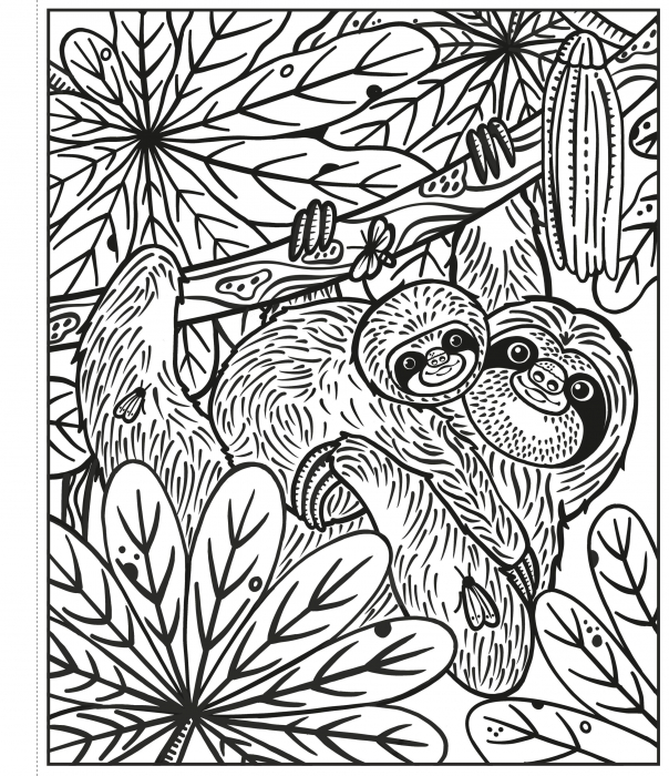 9781803701226 Usborne Rainforest Magic Painting Book [2]