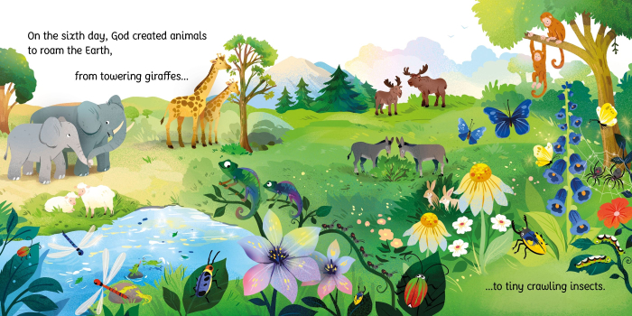 9781836046882 Usborne Little Board Books The Creation Story [4]
