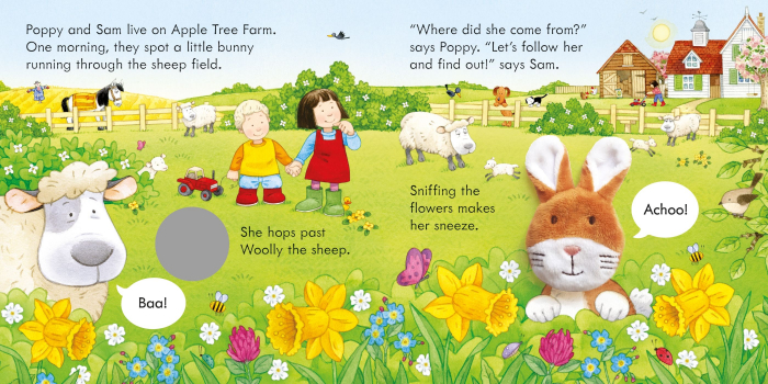 9781474974899 Usborne Poppy and Sam and the Bunny [3]