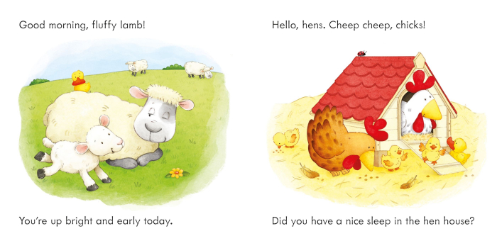 9781805310051 Usborne Find the Duck on the Farm [3]