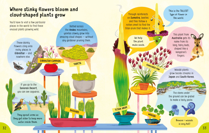 9781835409282 Usborne Lots of Things to Know About Our World [3]